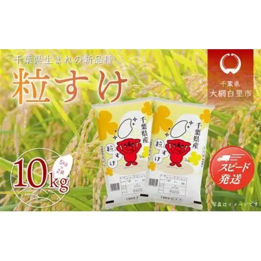 【最短2～7営業日出荷】令和7年産 千葉県産「粒すけ」10kg（5kg×2袋）/  粒すけ 令和7年産粒すけ 千葉県産粒すけ A006
