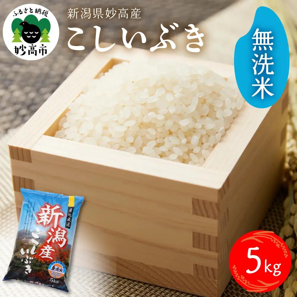 【2026年7月下旬発送】令和7年産 新潟県妙高産こしいぶき5kg 無洗米