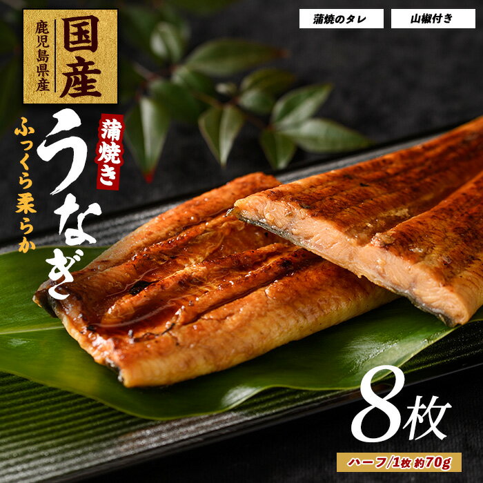 【ふるさと納税】うなぎ蒲焼じっくり焼きハーフカット約70g×8枚 化粧箱入り 鰻 ウナギ 蒲焼 国産 丑の日 うな重 無頭 ギフト プレゼント 贈り物 贈答 惣菜 総菜 小分け レンジ 簡単 蒲焼き ハーフサイズ 冷凍 鹿児島県産【大新】