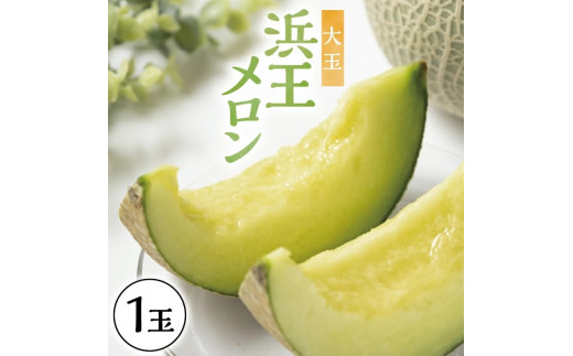 酒田の果物専門店厳選　庄内砂丘 浜王メロン大玉　1.4kg以上(1玉入) SZ0384