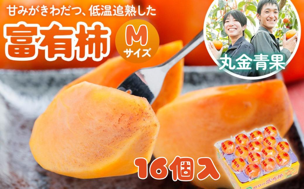 
                  [先行予約] 令和8年産 丸金青果 富有柿 Mサイズ(16個入) 低温追熟【甘みがきわだつ 低温追熟した富有柿をお届け】12月下旬より順次発送 [mt2261] ｜かき 富有柿 フルーツ カキ 果物 くだもの 産地直送 本巣市
                