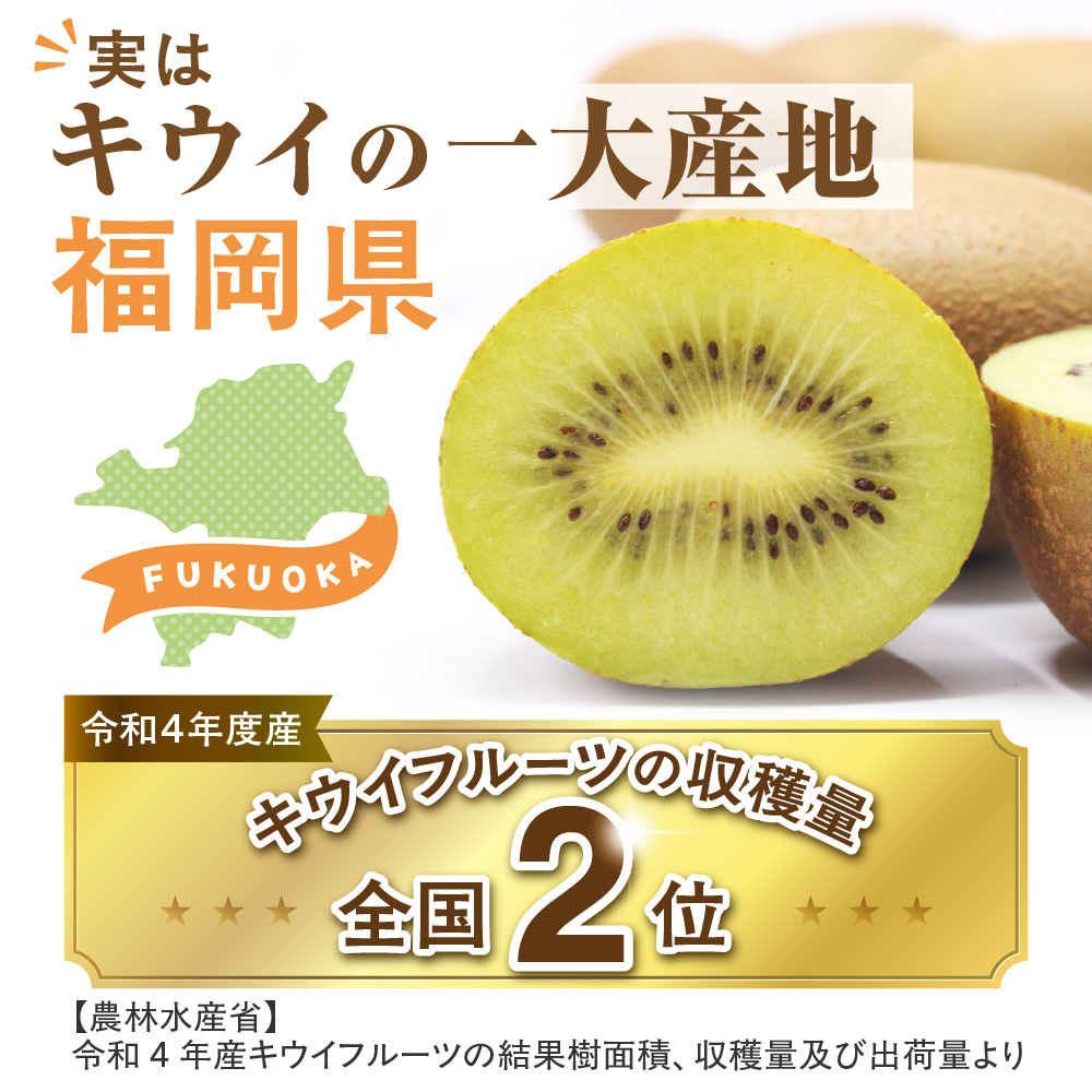 【ギフト】福岡県ブランド！キウイフルーツ「博多甘うぃ」約1.4kg化粧箱入り【ほたるの里】_HA0943