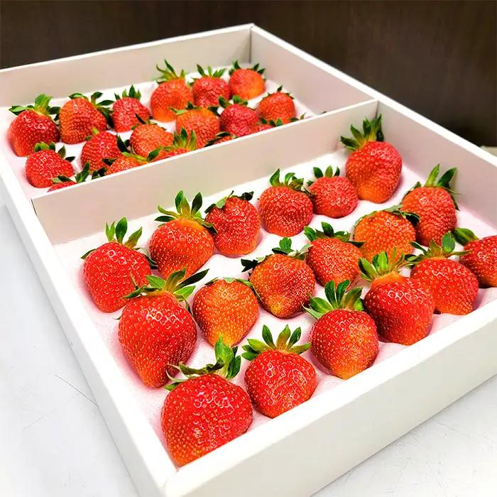 【定期便4回】イチオシフルーツ！やまがた宝箱B  FY25-822