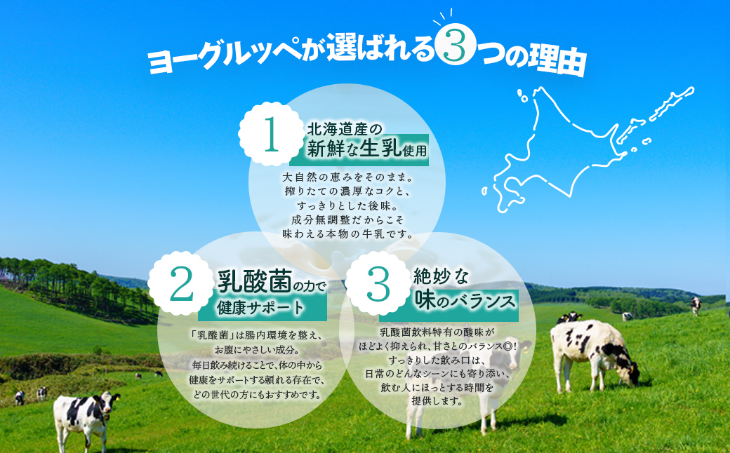 【定期便4回】【ジャパン・フード・セレクショングランプリ受賞】北海道日高乳業 ヨーグルッペ200ml×24本 BRTH052