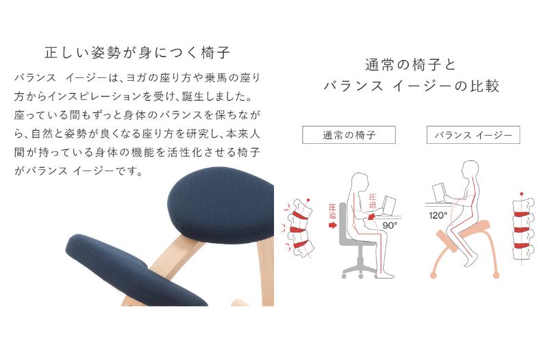 バランスイージー カバー付き 選べる カラー 姿勢強制イス 姿勢がよくなる椅子 子供 大人 姿勢強制 姿勢がよくなる 椅子 バランス イージー カバー いす イス 学習椅子 姿勢をよくする グッズ インテリア 家具 日本製 岐阜 岐阜県 美濃市