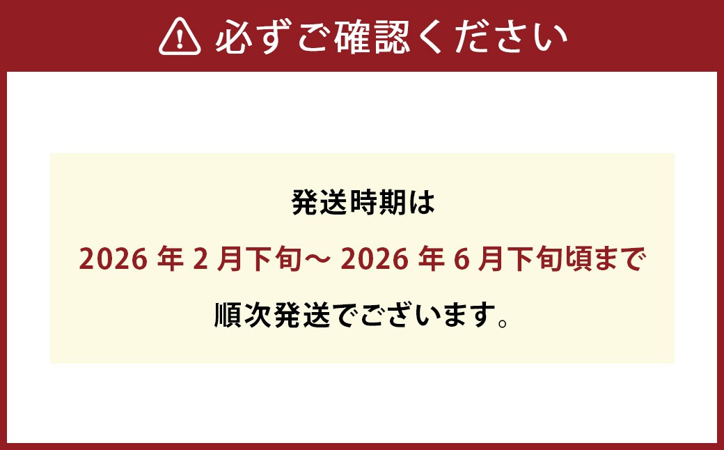 パクパクデコ 5kg バラ詰め 訳あり（B品）