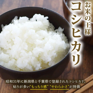 令和7年産 米 幽学の里米 コシヒカリ 5kg 【 米 】