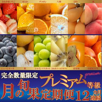 ふるさと納税 三豊市 【発送月固定定期便】完全数量限定!月の旬果プレミアム等級定期便♪(12ヶ月連続)全12回