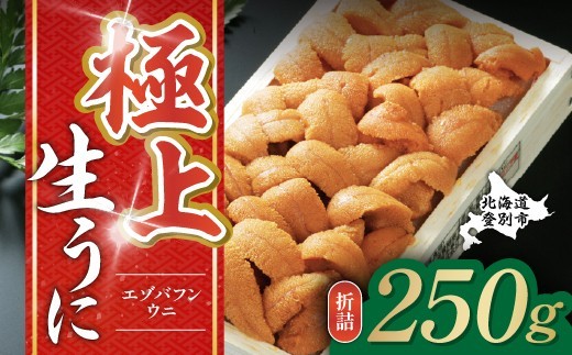 
                  特選 エゾバフンウニ 折詰 250g ウニ丼 約3杯分 高級 うに ウニ 雲丹 生ウニ バフンウニ 折り詰め ふるさと納税 北海道 登別市
                
