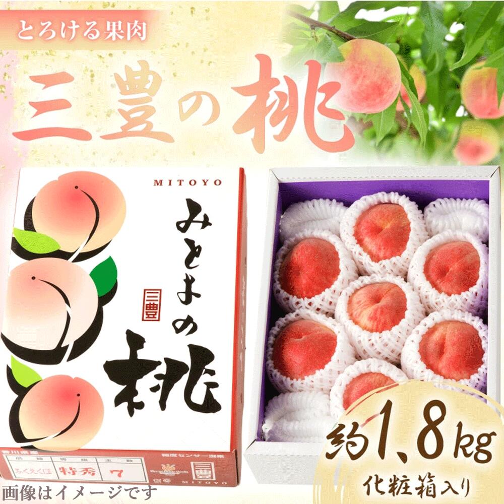 【ふるさと納税】とろける果肉 「三豊の桃」 約1.8kg 化粧箱入り [ 旬 ギフト プレゼント 贈答用 国産 食品 冷蔵 果物 デザート フルーツ お取り寄せ お取り寄せグルメ 産地直送 溢れる甘い果汁 送料無料 10000 10,000円 台 香川県 三豊市 五色青果 ]