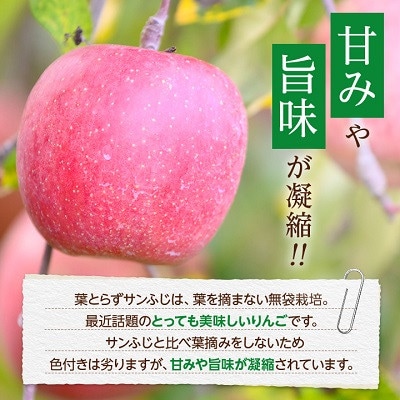 【25年12月出荷予定】平均糖度13度以上! 葉とらずサンふじ 約10kg おもてなし用【配送不可地域：離島・沖縄県】【1612856】
