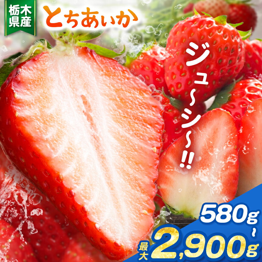 【ふるさと納税】 いちご 限定 選べる とちあいか 大粒 新鮮 甘い 食べ比べ 数量 美味しい 果物 共通返礼品 フルーツ デザート 栃木県共通返礼品 選べる 内容量 とちあいか 580g ～ 2900g | 栃木県 那珂川町 送料無料 ご褒美