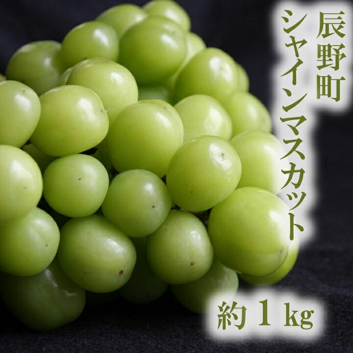 【ふるさと納税】407「ご家庭用」シャインマスカット　約1kg　2～3房　※9月～10月発送予定
