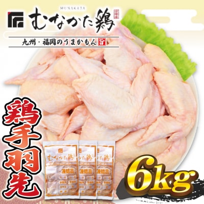 宗像産ブランド鶏【むなかた鶏】手羽先6kg(平飼い)【JAほたるの里】_HA1421