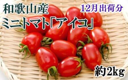 【12月出荷分】和歌山産ミニトマト「アイコトマト」約2kg（S・Mサイズおまかせ）【tec100A-12】