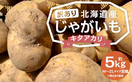 【訳あり】北海道産 じゃがいも キタアカリ M～2Lサイズ混載 約5kg 1箱 山田農場 ジャガイモ 芋 いも イモ 訳アリ わけあり ワケアリ きたあかり 国産 京極町産【2026年9月下旬-2027年1月上旬迄発送予定】