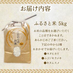米 白米 新米 5kg お米 精米 令和7年度産 ふるさと米 先行予約 きぬひかり にじのきらめき きぬむすめ ごはん ケーティー 静岡県 牧之原市 ~牧之原から採れたてのお米をお届けします~