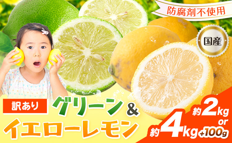 
            生産者応援企画！訳あり 国産レモン 選べる 約2kg 約4kg 《10月上旬-1月下旬頃出荷》産地直送 レモン 檸檬 グリーンレモン イエローレモン 防腐剤不使用
          