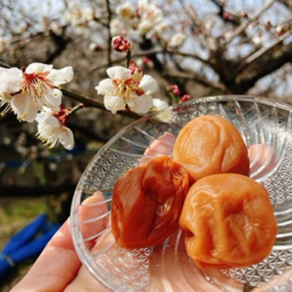 【本気の酸っぱい梅干】愛ちゃんの紀州梅 600g aisu001