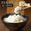 【ふるさと納税】 先行予約 令和6年産 コシヒカリ 無洗米 5kg 新米 こしひかり 5kg 令和6年度産 特別栽培米 さんべ浮布米 国産 島根県産 大田市産 お米 2024年産 減化学肥料 減農薬 JGAP認証 ごはん お弁当 おにぎり おむすび 特産品 お取り寄せ グルメ