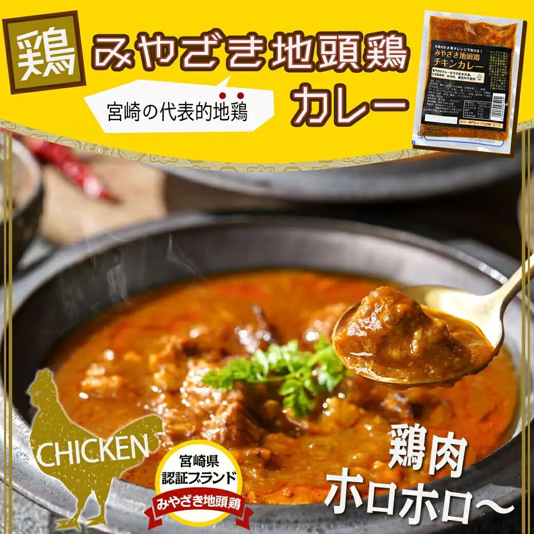 トプカ☆牛・豚・鶏の肉のふるさとカレー3種セット〔MJ-J901〕_(都城市) 宮崎牛ビーフカレー 地頭鶏カレー どんぐりの恵み ハンバーグカレー セット