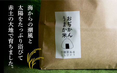 【令和7年度産新米】おぢかんうまか米（小値賀町産こしひかり 5kg ・精白米） [DAB014] コシヒカリ こしひかり 米 お米 白米 ご飯 精米 お弁当  常温