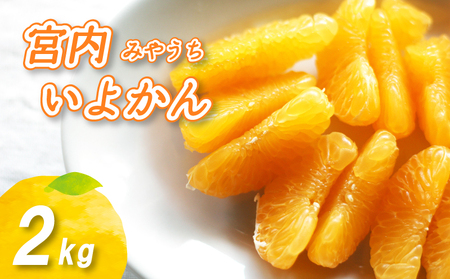 【2027年1月中旬頃から順次発送】 宮内いよかん 2kg | いよかん 伊予柑 柑橘 くだもの フルーツ 愛みかん 愛媛みかん ミカン フルーツ 果物 みかん 柑橘 甘いみかん【NO016】