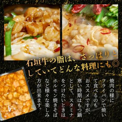 ふるさと納税 石垣市 希少な特選石垣牛のホルモンをご家庭で!!秘伝の味噌味マルチョウ300g×4パック |  | 02
