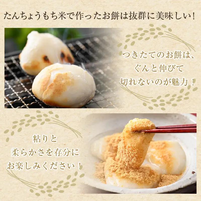 【令和7年産】たんちょうもち米 5kg 精米 ≪希少！お餅作りに最良≫ ／ 餅 タンチョウ 餅つき 丸餅 柏餅 [aw064-a021]