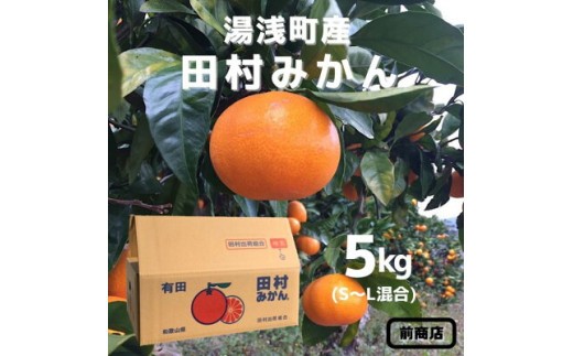 
                  【2026年先行予約】【産地直送】和歌山 湯浅町産 田村みかん 5kg S～Lサイズ混合_BL6013n
                