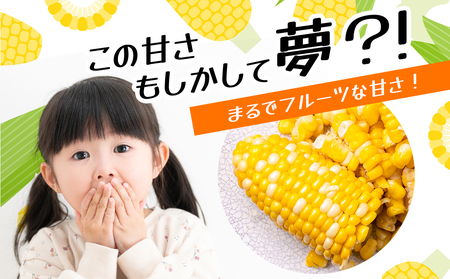 【8月中旬以降発送】北海道産 甘い とうもろこし ユメノコーン ８本【橋本農園】