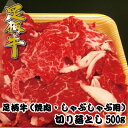 【ふるさと納税】足柄牛【焼肉・しゃぶしゃぶ用】切り落とし500g【配送不可地域：離島】【1507076】