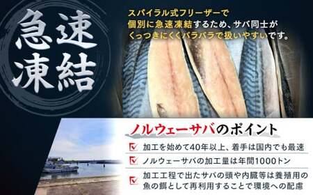 訳あり 塩 サバ 約1.4kg 9枚 冷凍 鯖 塩 サバ 魚 さかな 海鮮 海産物 おかず 鯖ご飯 おすすめ 人気 鯖 魚 魚介 海鮮