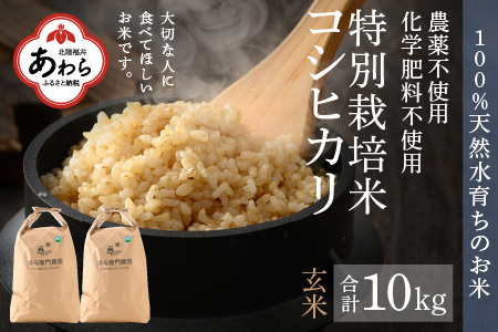 【令和6年産 新米】 コシヒカリ 玄米 10kg 特別栽培米 5kg×2袋 化学肥料不使用  ＜温度と湿度を常時管理し新鮮米を出荷！＞ / 伊与衛門農園の特別栽培米 高品質 鮮度抜群 福井県 あわら市産 ブランド米 R6 北陸 お米 ご飯