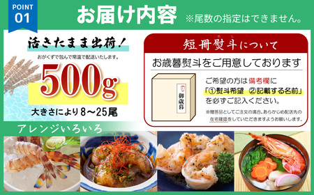 【期間限定】姫島産 活き車えび (養殖) 500g 常温配送 お歳暮ギフト 熨斗可 【宅配ボックス不可】 国産 海鮮 ギフト 刺身 焼き しゃぶしゃぶ A32