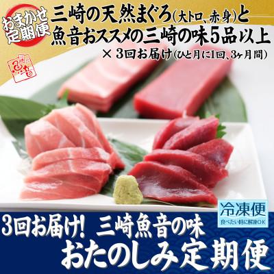 ふるさと納税 三浦市 【毎月定期便】3回お届け!三崎魚音の味おたのしみ定期便全3回