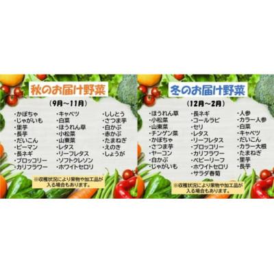 ふるさと納税 北上市 野菜セットC　13品 以上 |  | 02