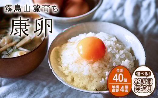 
            【内容量/発送月 選べる】卵【定期便】霧島山麓育ち こだわり卵 康卵 計40個（36個 + 割れ保証4個）3回 計 120個(108個 + 割れ保証 12個) 6回 計 240個(216個 + 割れ保証 24個)12回 計 480個(432個 + 割れ保証 48個)たまご 玉子 卵焼き 玉子焼き たまご焼き 生卵 鶏卵 平飼い 放し飼い たまごかけごはん 国産 九州産 宮崎県産 送料無料
          