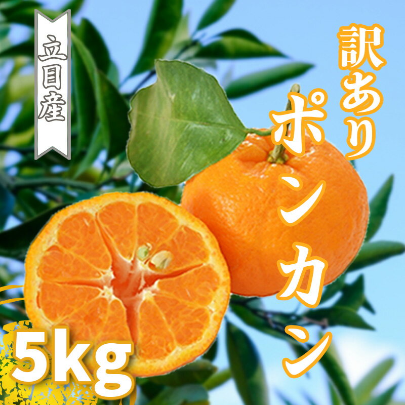 【ふるさと納税】 ぽんかん 5kg 早期予約開始 訳あり 立目産 サイズ混合 柑橘 みかん 果物 フルーツ 蜜柑 家庭用 1月中旬より順次発送 ふるさと納税 高知県 須崎市