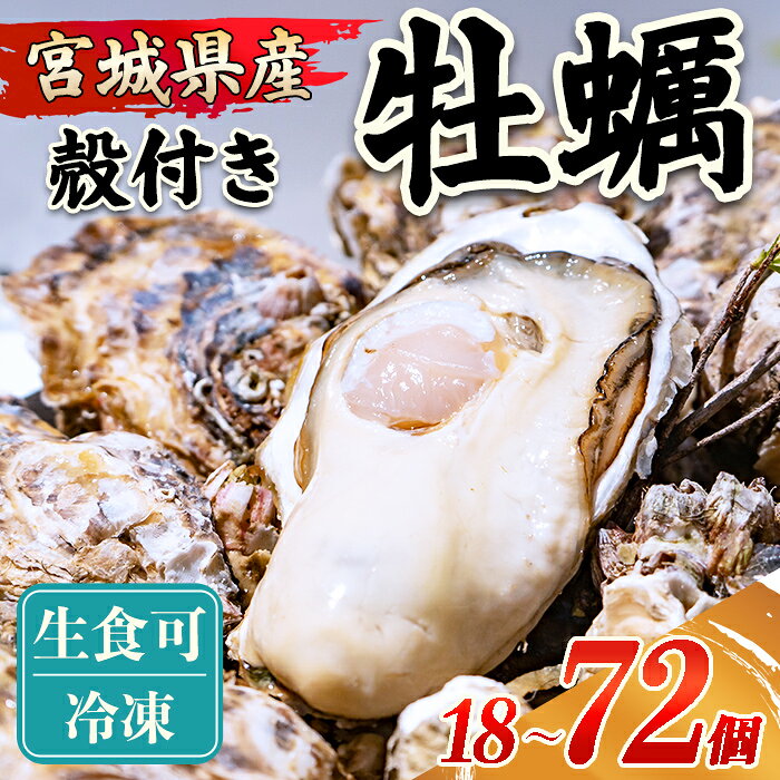 【ふるさと納税】殻付き牡蠣（生食用）冷凍 選べる個数 18個〜72個（約1.5kg～6kg） 生牡蠣 宮城県産 牡蛎 牡蠣 カキ かき 生食 オイスター カキフライ 牡蠣鍋 海鮮 国産 魚貝類 バーベキュー BBQ【末永海産株式会社】sh166・sh167・sh168