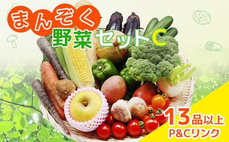 まんぞく野菜セットC 13品 以上 季節 旬 野菜 詰め合わせ 春野菜 夏野菜 秋野菜 きのこ 葉物 果物 果菜 根菜 冷蔵 野菜室 ダイエット 食 栄養食 加工品 カット野菜 岩手県産 北上産 季節限定 稀少 数量限定 山菜 ブロッコリー たまねぎ さつまいも とうもろこし サラダ トマト しいたけ アスパラガス 岩手県 北上市 E0228 P＆Cリンク 