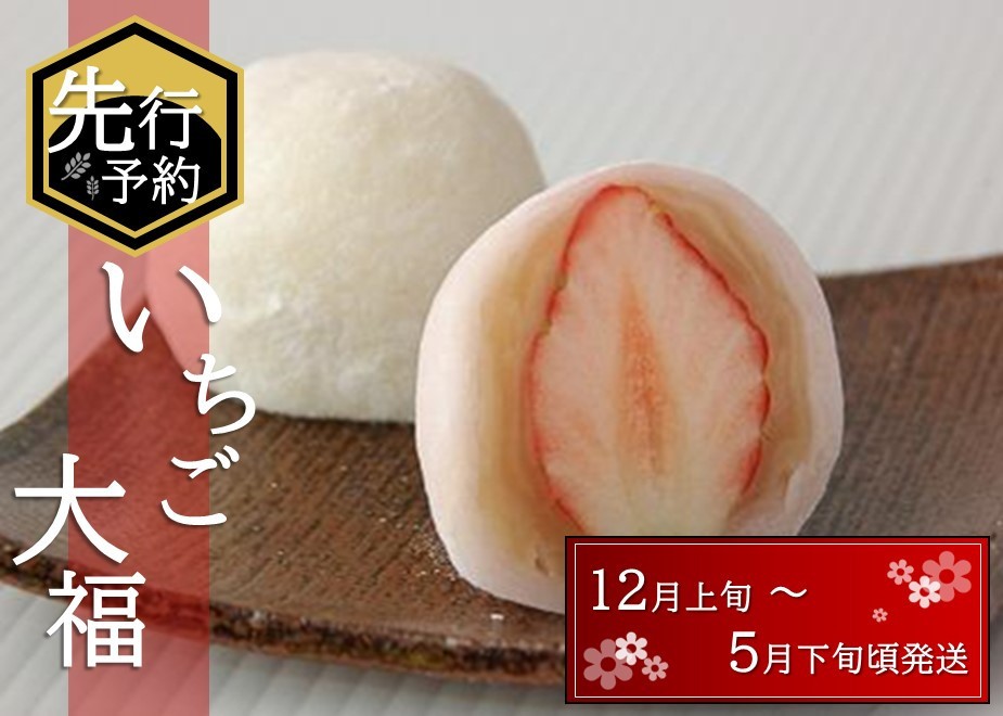 
            【先行受付】いちご大福 10入【期間限定】
          
