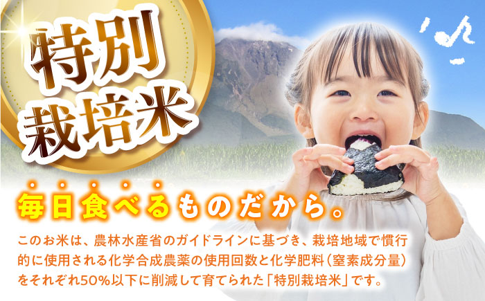 【特別栽培米】 ヒノヒカリ 10kg (5kg×2袋) / 米 精米 白米 ごはん ご飯 ひのひかり / 南島原市 / 農家民宿　いちご一会 [SBN002]