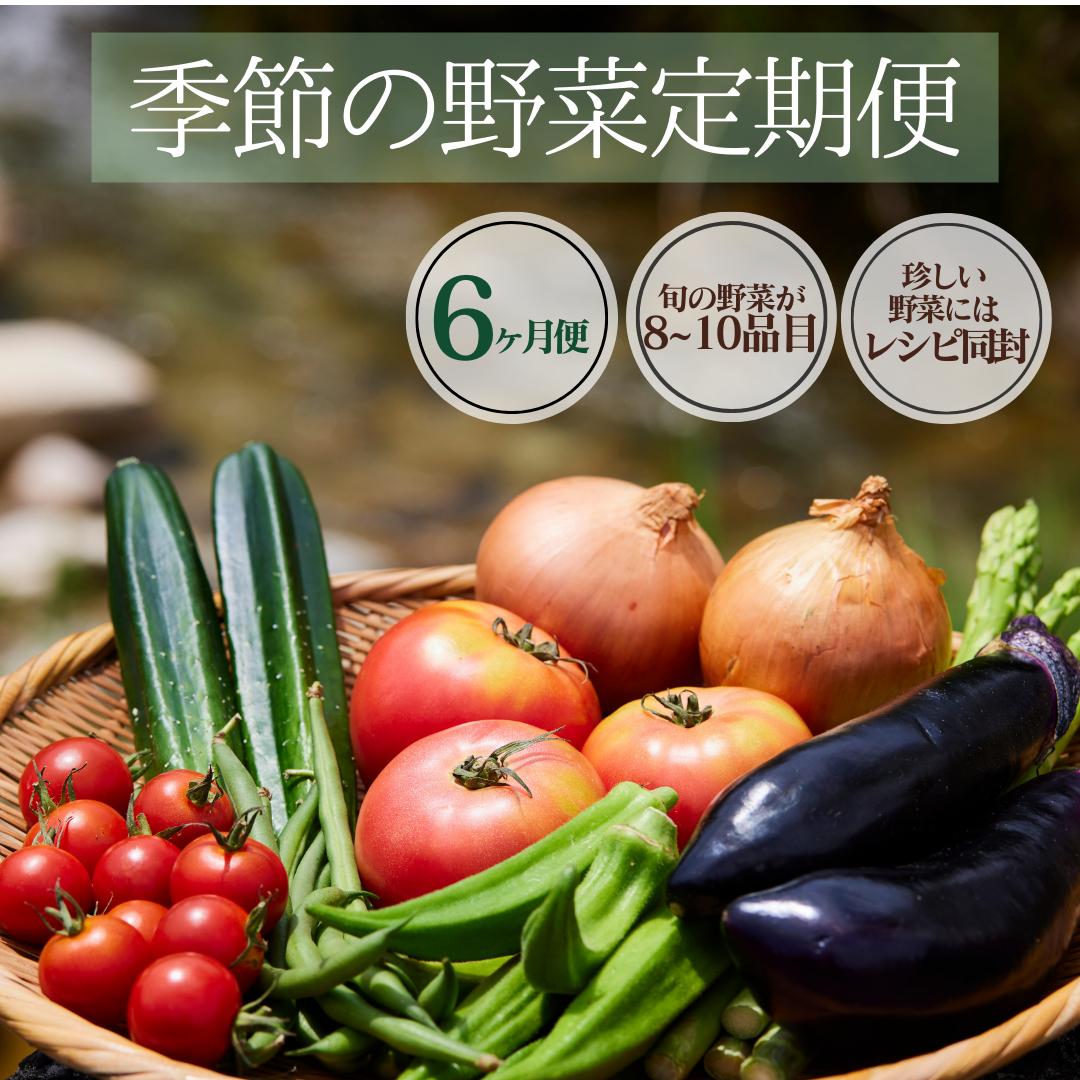 湯の花　季節の野菜定期便6ヶ月 【6ヶ月 定期便 旬 野菜 セット 人気 春野菜 夏野菜 秋野菜 冬野菜】