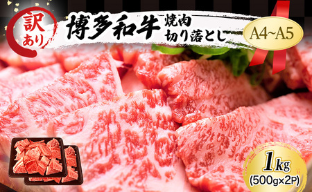 博多和牛 A4〜A5 焼肉 切り落とし 肩ロース バラ 博多和牛【1kg(500g×2p)】【訳あり】