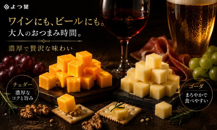 おしゃれな休日をお過ごしください♪