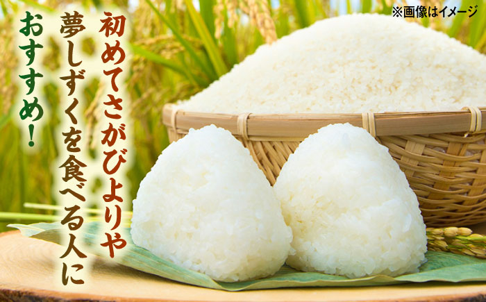 【特A評価獲得】武雄市産　さがびより・夢しずく 2種食べ比べ 10kg（5kg×2種）/株式会社 y’s company（uts