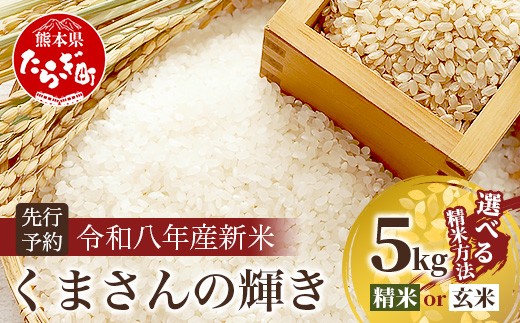 令和8年産新米【玄米】 くまさんの輝き 5kg (令和8年10月中旬より順次発送) 新米 熊本県 多良木町 お米 5キロ 米 白米 精米 107-0701-g