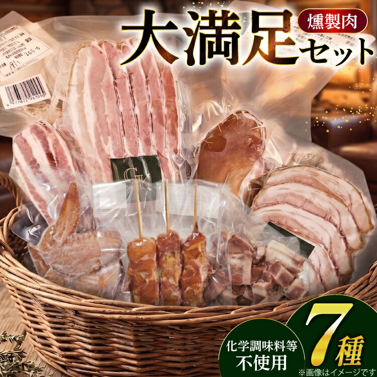 【ふるさと納税】 燻製 燻製肉 詰め合わせ【化学調味料等無添加】「大満足セット」 [グリュン江南 愛知県 江南市 ko23btu160002] 肉 肉加工品 豚肉 鶏肉 ベーコン ステーキ ハム ロース 手羽先 骨付き ブロック 岩塩 燻製 くんせい 大容量 おつまみ 冷凍 真空パック BBQ