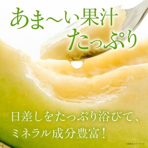 来年2026年先行予約！メロン めろん 糖度21度以上！奇跡の キスグリーンメロン 1玉 青肉 人気 おすすめ キスグリーン 甘い 濃厚 高糖度 自家栽培 メロン 贈答用 贈り物 プレゼント 送料無料